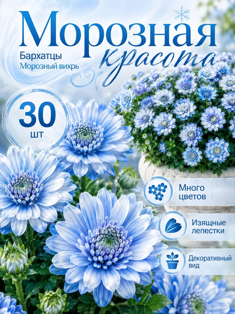 Бархатцы Морозный вихрь, семена, 30 шт., 30 шт