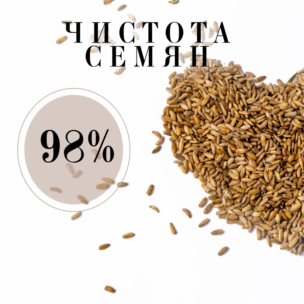 Расторопша 1 кг. Семена расторопши., 1 кг, фото 2