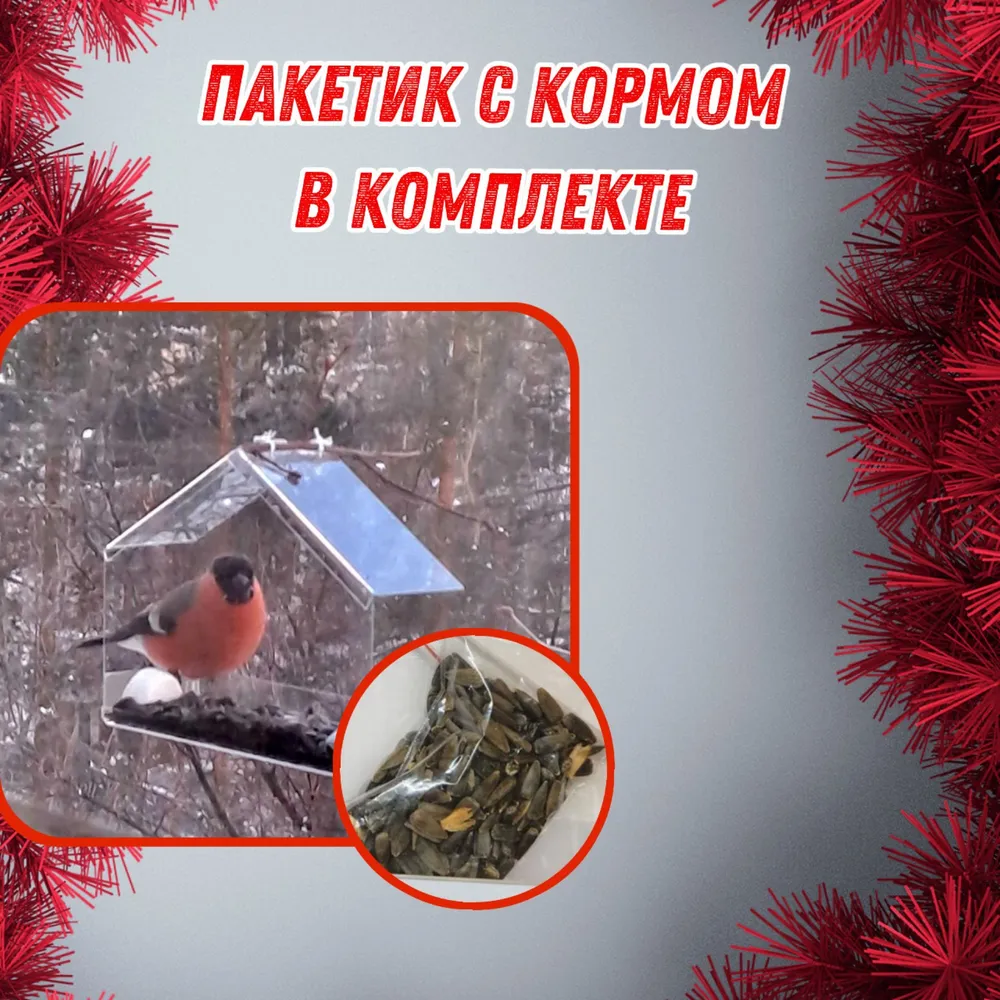 Кормушка для птиц прозрачная, подвесная, на окно, прозрачный, фото 6