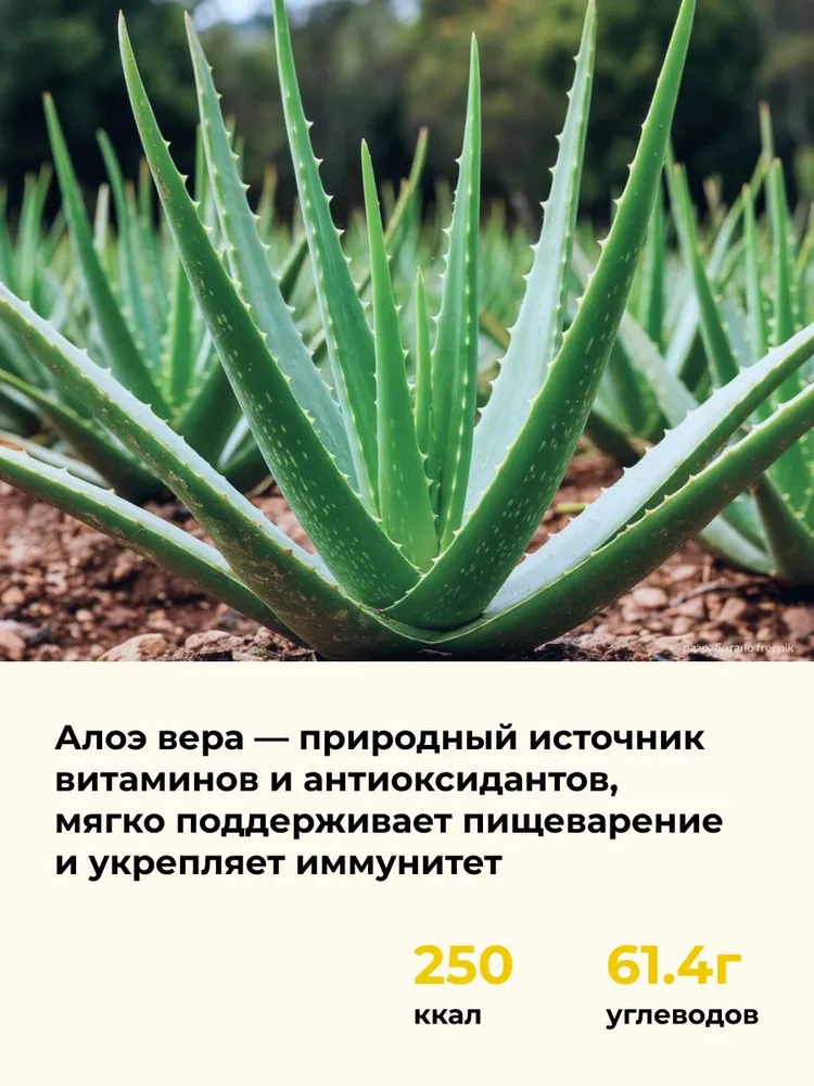 Варенье с Алоэ и мёдом ESORO, Корея,1000 г, 1 кг, фото 2