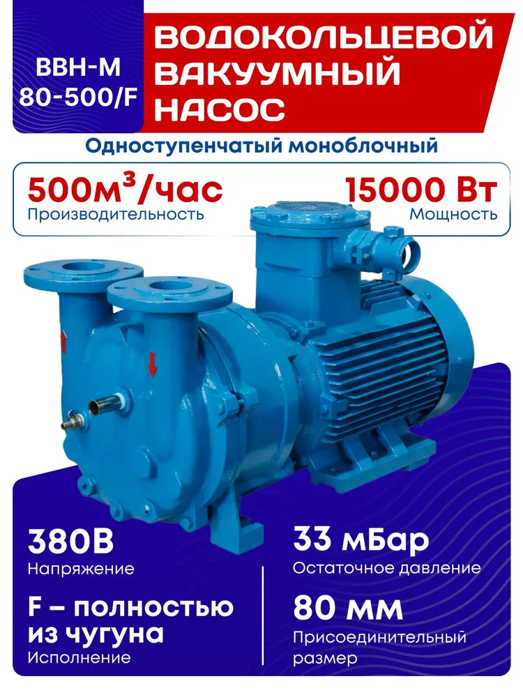 Одноступенчатый моноблочный водокольцевой вакуумный насос BBH-M 80-500/F с двигателем 15 кВт, вариант