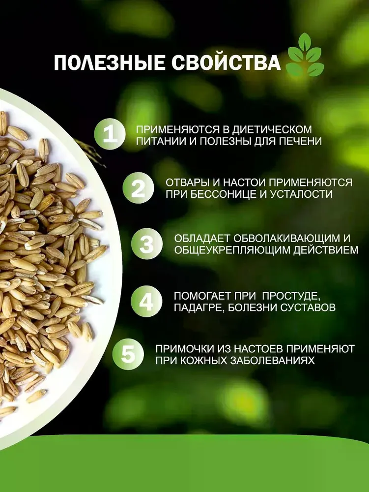 Овес для заваривания и настоя, для проращивания, 0,5 кг, 500 г, фото 2