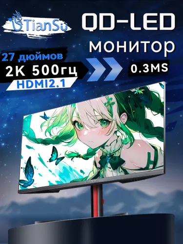 tiansu 27" Монитор 2к 500гц QD-LED 0.3мс HDMI2.1, IPS, 2560x1440 2K, 500 Гц, черный матовый