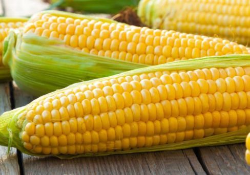 КукурузасахарнаяАлина,оченьсладкая,семена10шт.