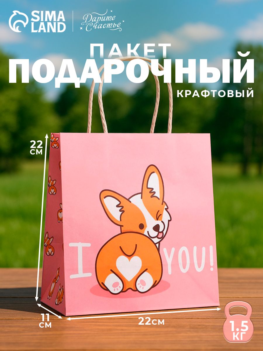 Пакет подарочный, 22 x 22 x 11 см