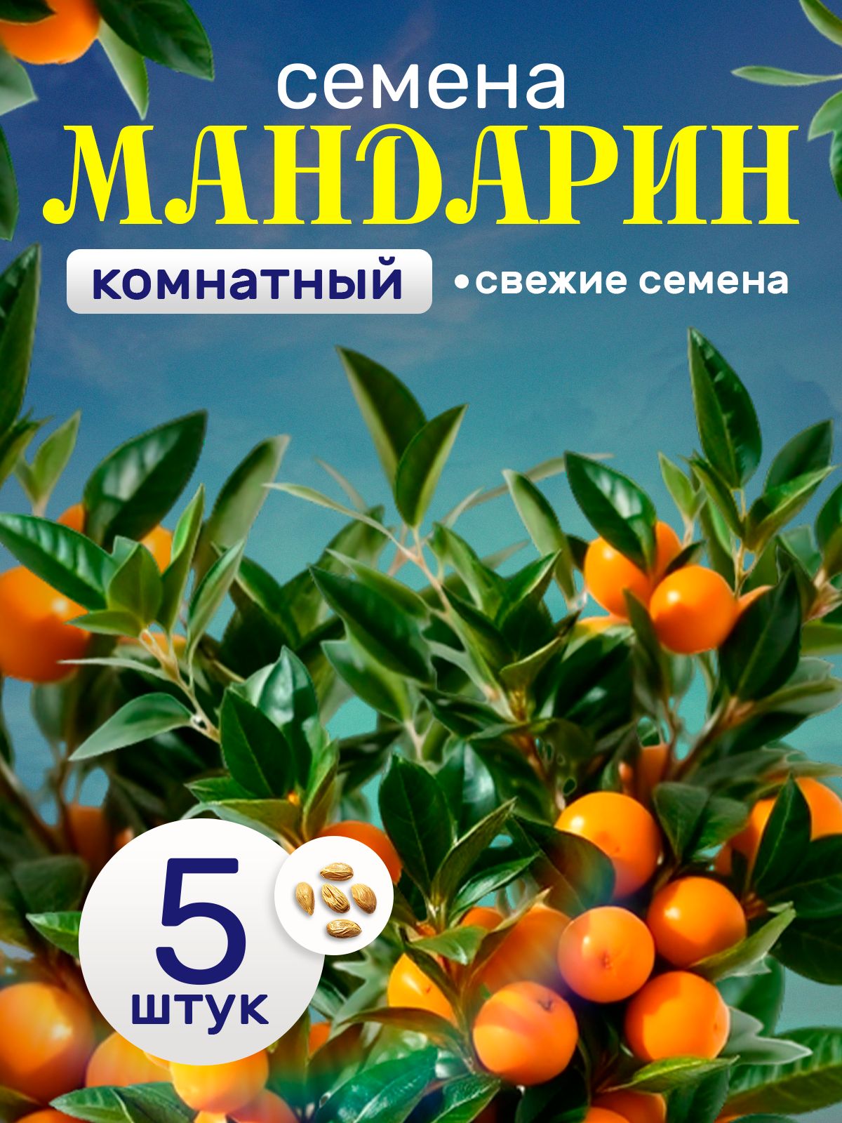 Семенамандаринадлявыращивания