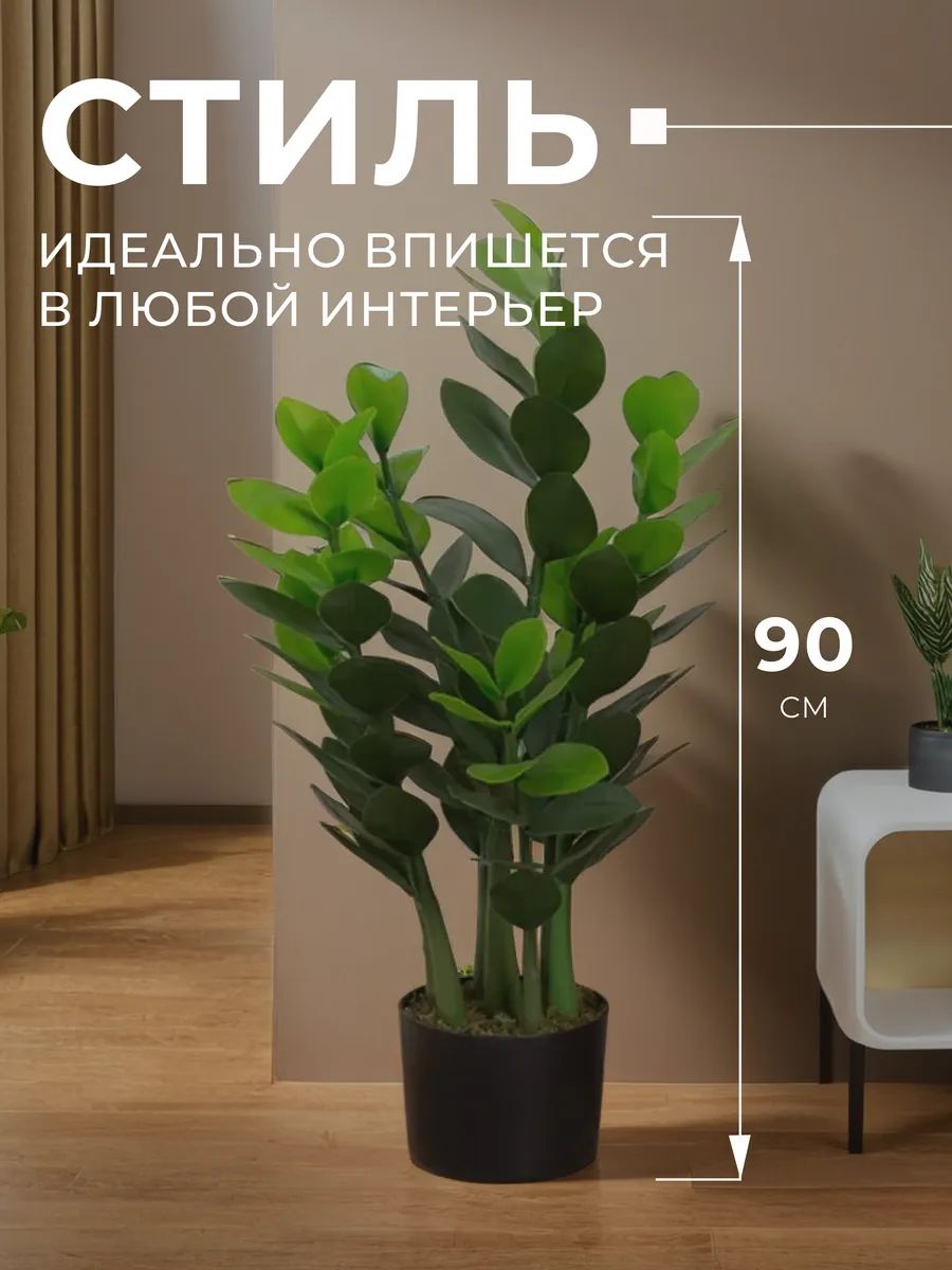 Замиакулькас 90cm DS2021-089 Китай