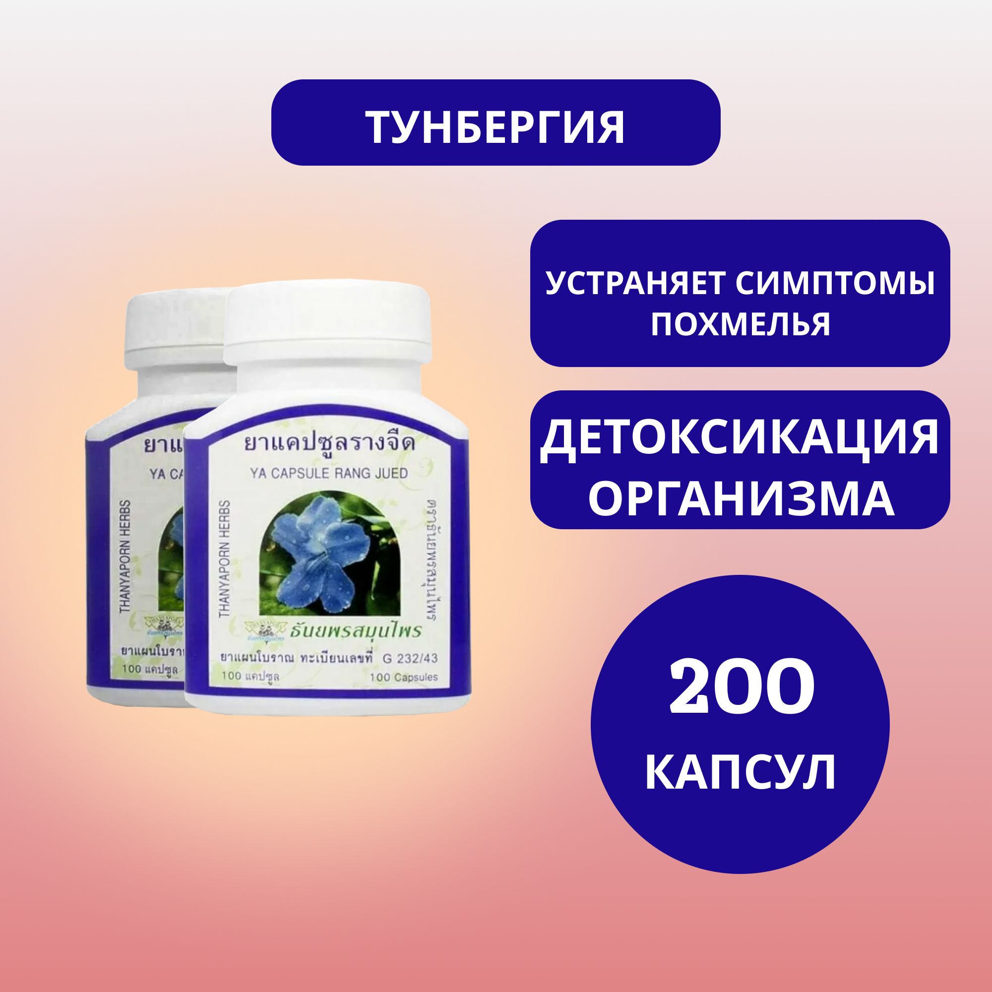 Яои тесігінде үлкен мүшесі