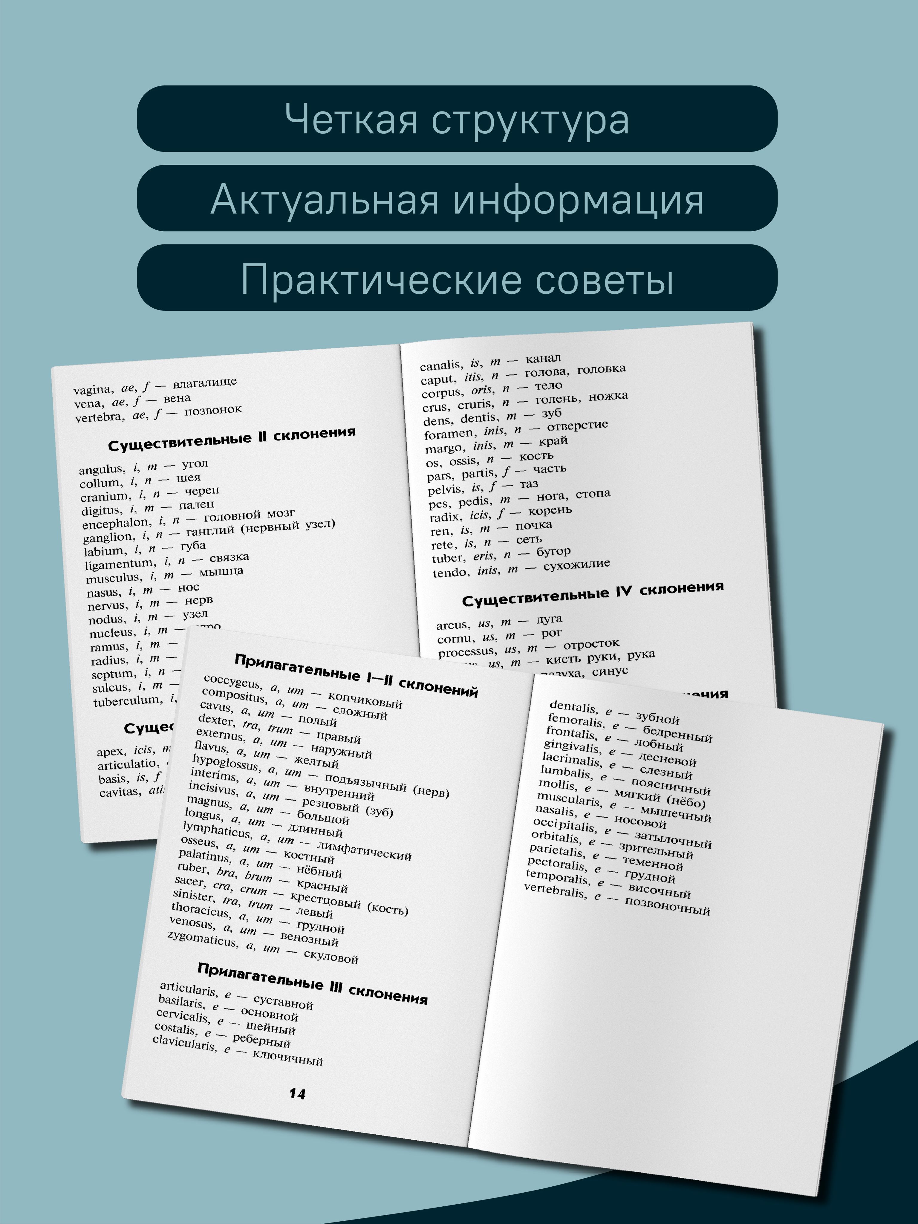 Словарь латинско-русский, русско-латинский для медицинских колледжей | Latin–Russian, Russian–Latin Dictionary for Medical Colleges - Ozon image 5