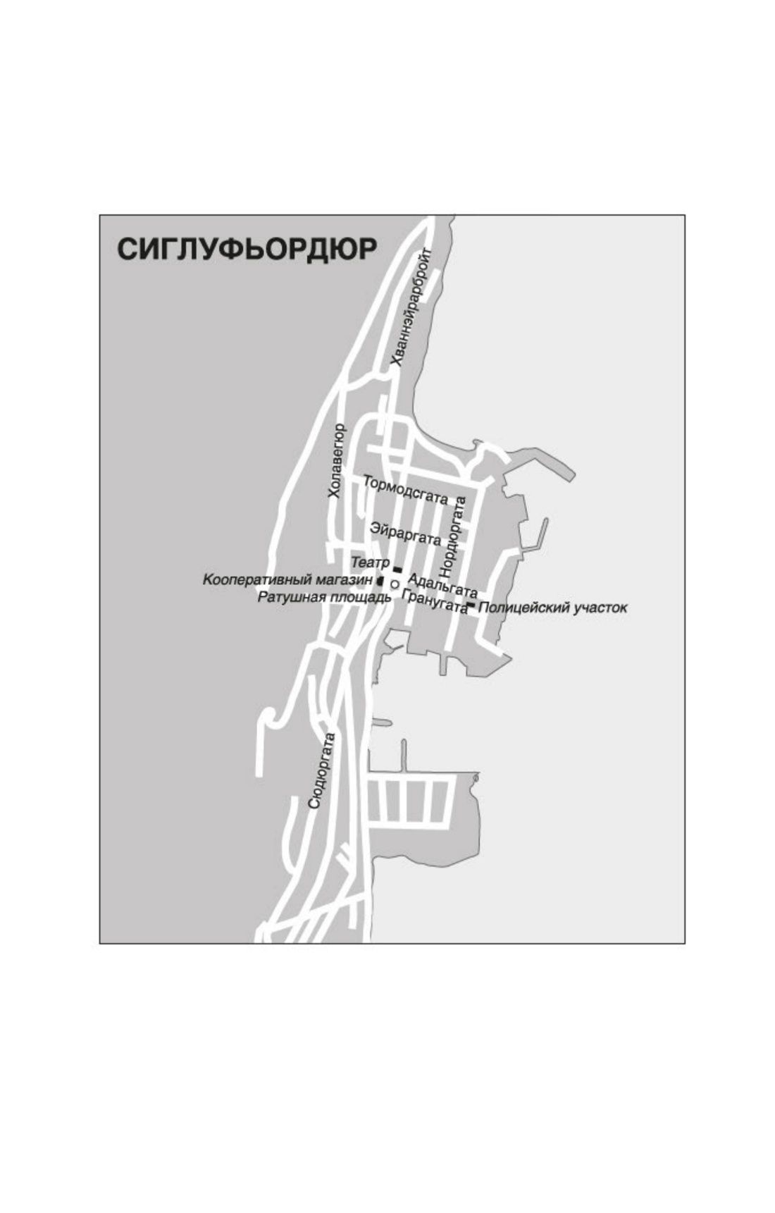 Снежная слепота | Snjóblinda - Ozon image 6