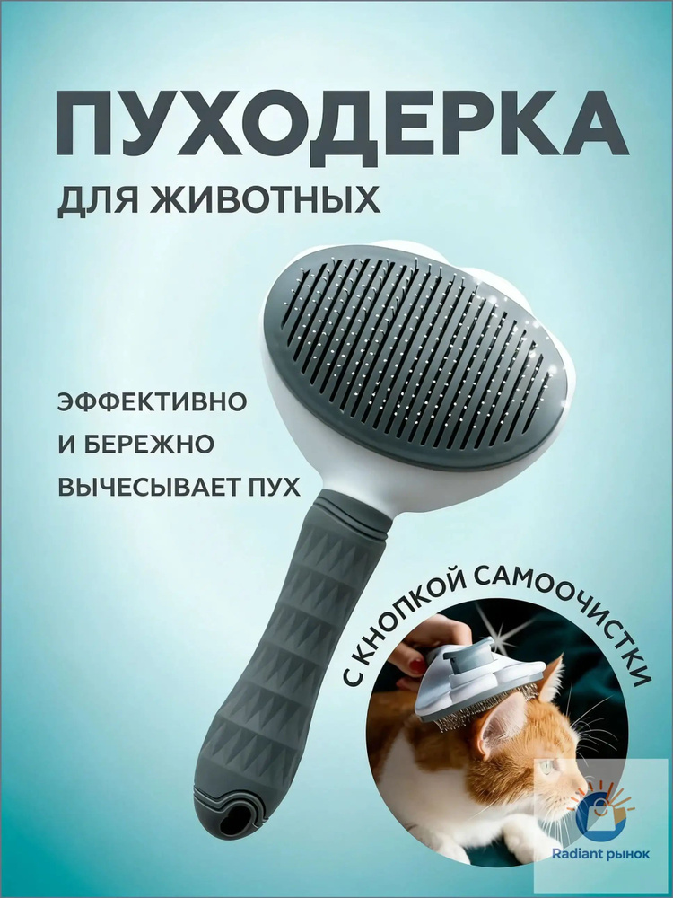 Meaning Of Life Book Meaning Of Life Book