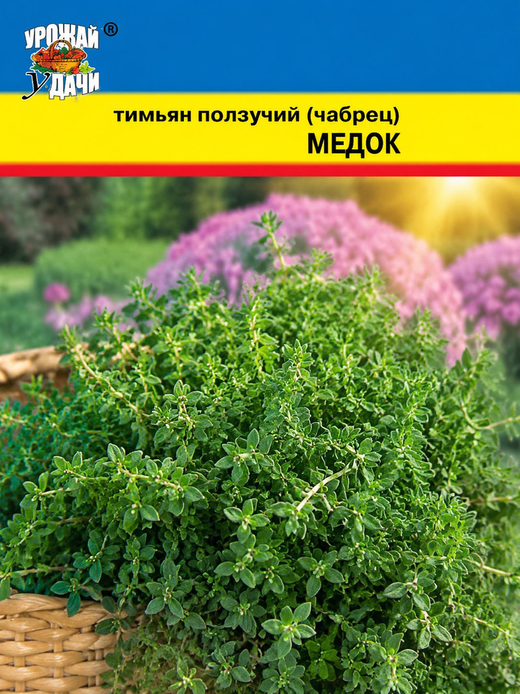 Семена Тимьян МЕДОК (Семена УРОЖАЙ УДАЧИ, 0,1г в упаковке) #1