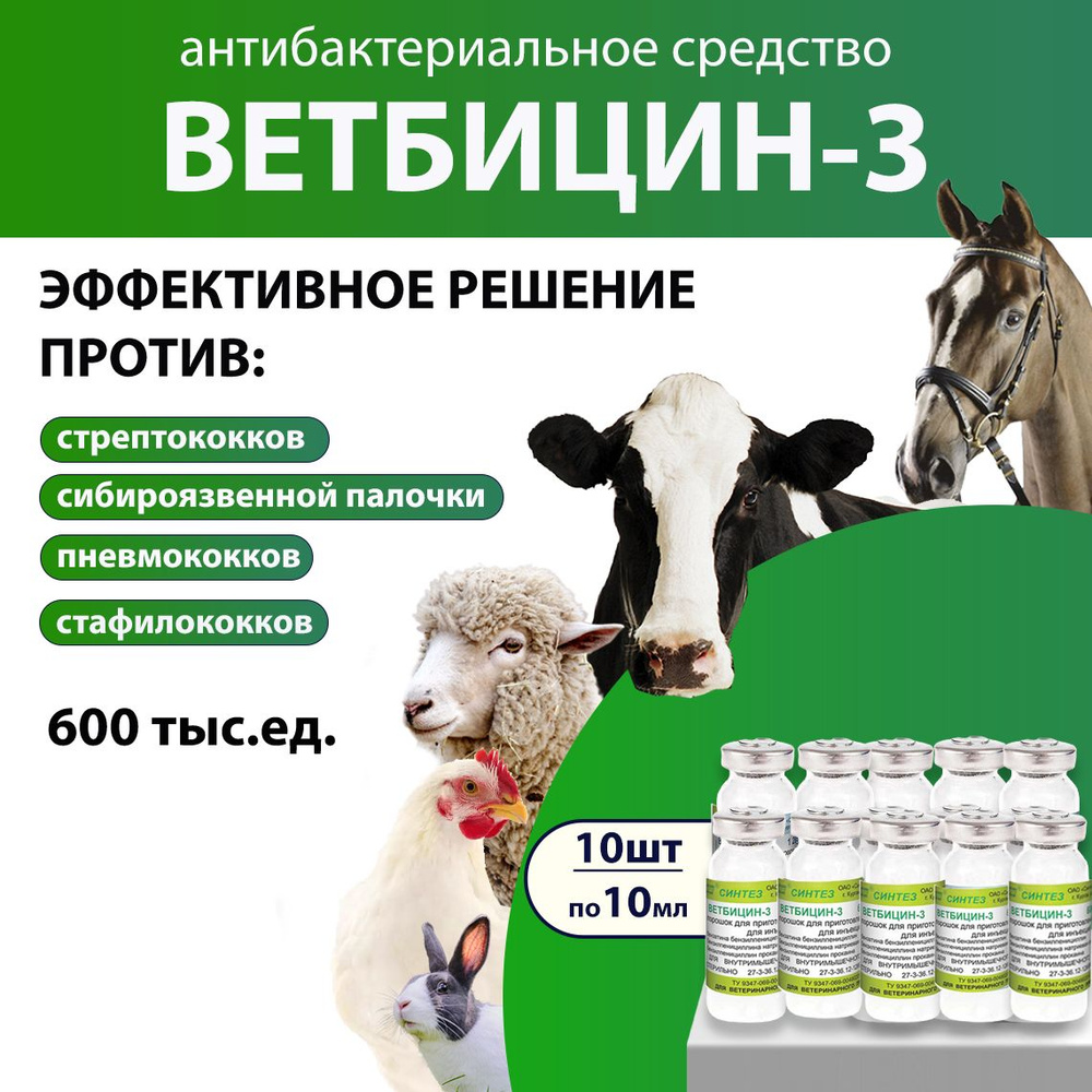 Ветбицин 3 (600 тыс. ЕД) комплексное антибактериальное средство 10мл, 10 штук  #1