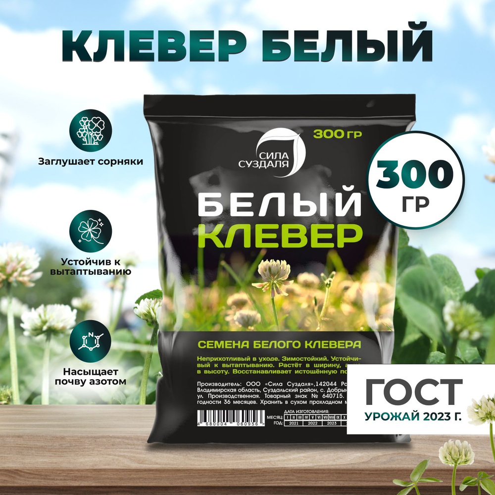 Клевер белый семена, газонная трава, сидерат - 300 гр