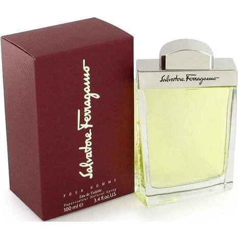 Salvatore Ferragamo pour Homme Туалетная вода 100 мл (1418380760)