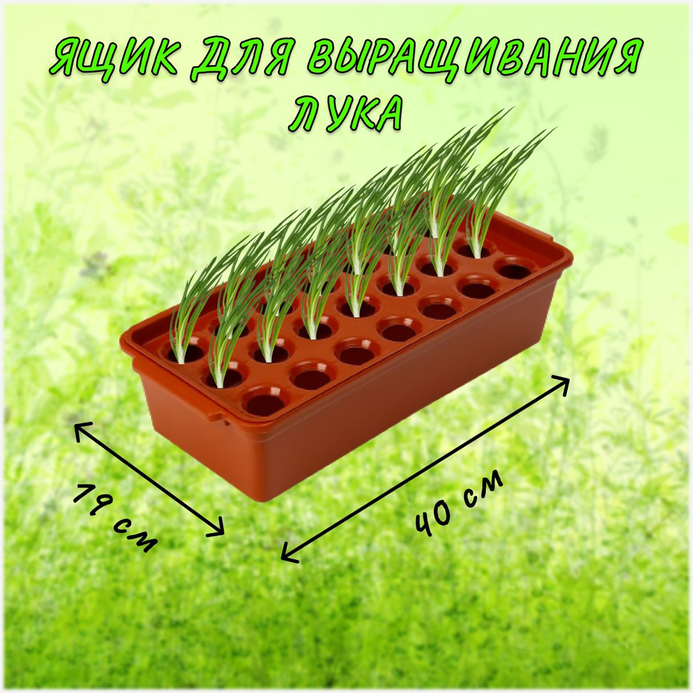 Ящик для выращивания зеленого лука, 21 лунка, 40х19х10 см/ лоток для ...