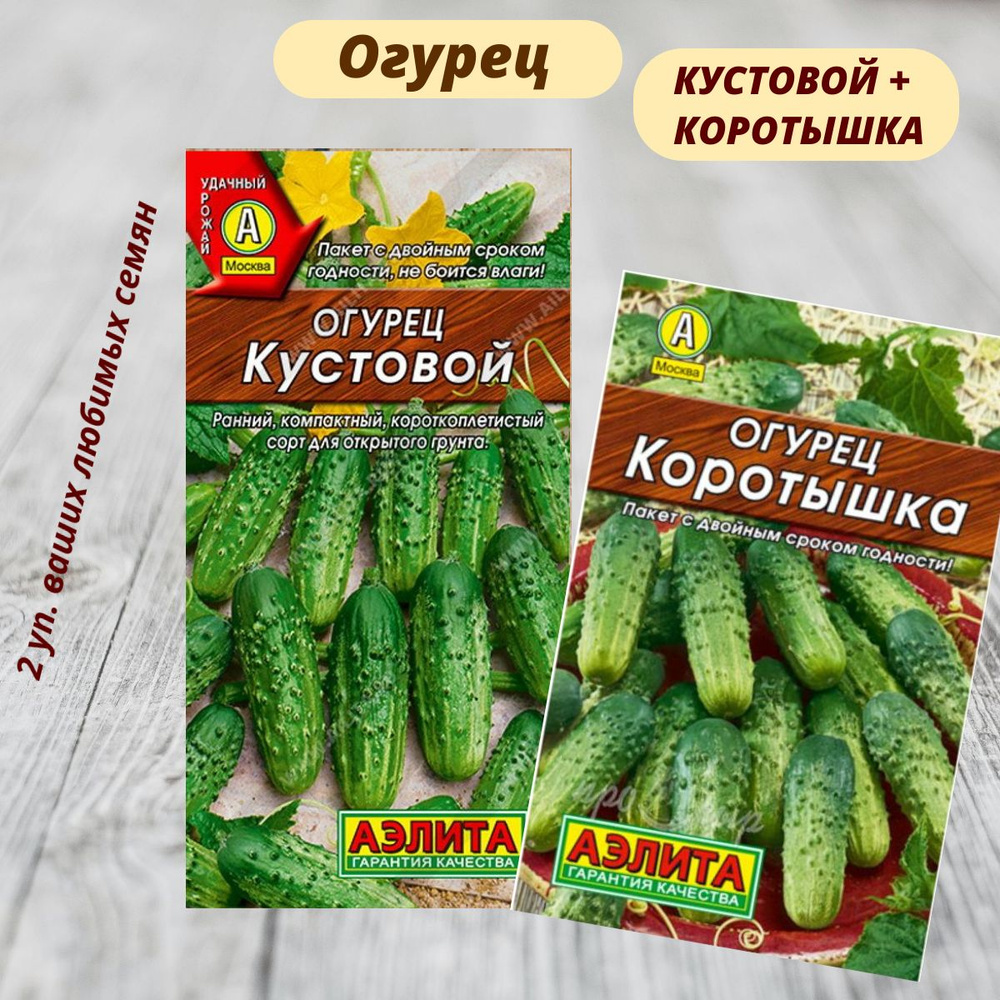 Огурец Кустовой. Огурец Коротышка #1