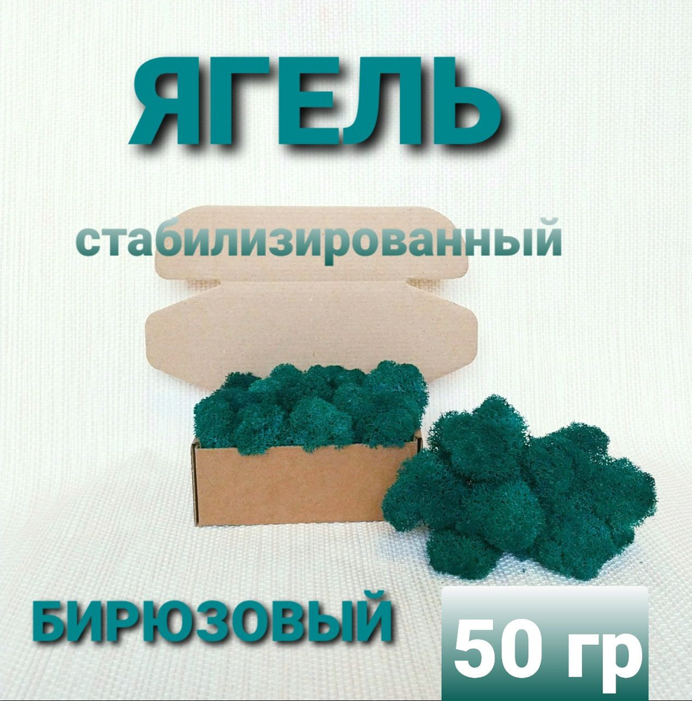 Сухоцветы Мох, 50 гр, 1 шт #1