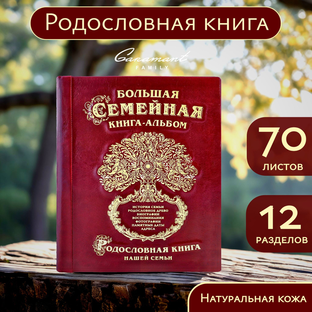 Большая Семейная Родословная книга 