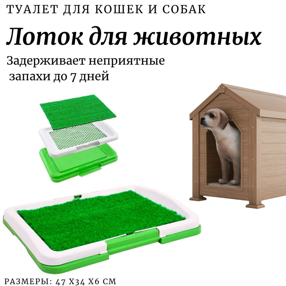 Лоток для собаки, туалет для кошек с бортом купить на OZON по низкой ...