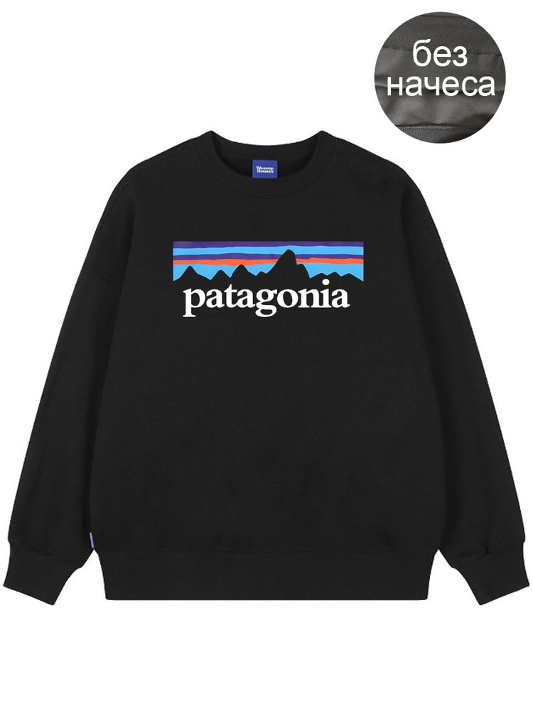 Толстовка Patagonia #1