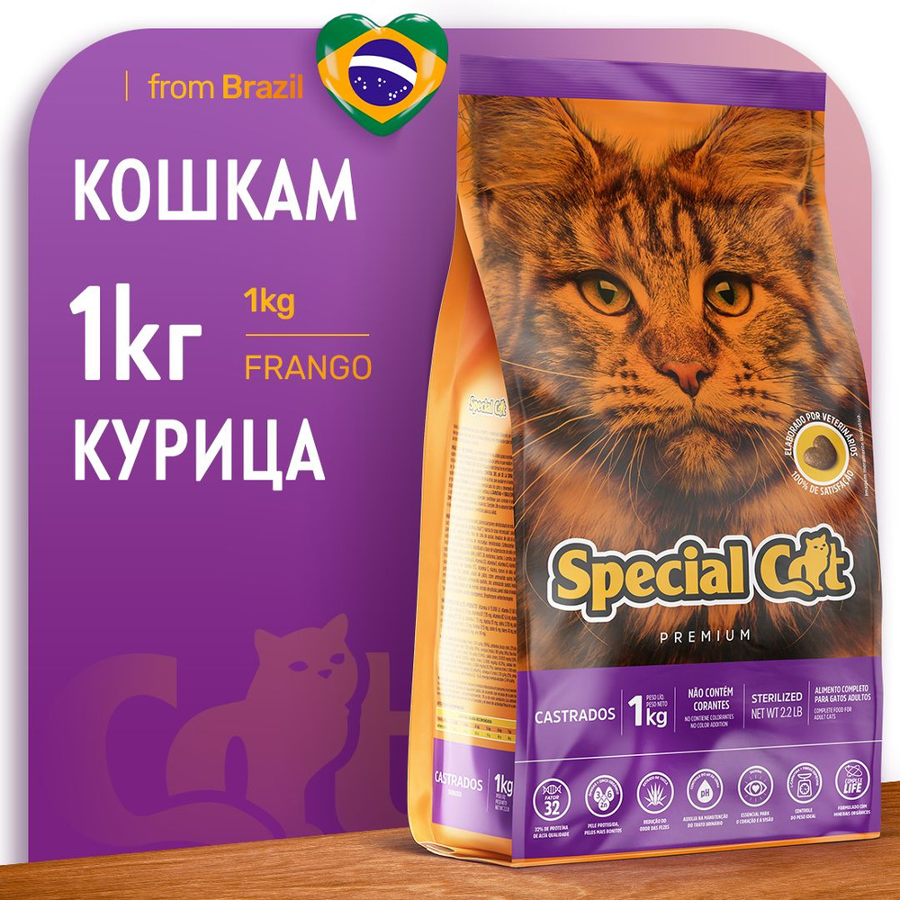 Сухой корм для кошек Special Cat Alimento Premium взрослых с курицей, Бразилия, 1 кг  #1