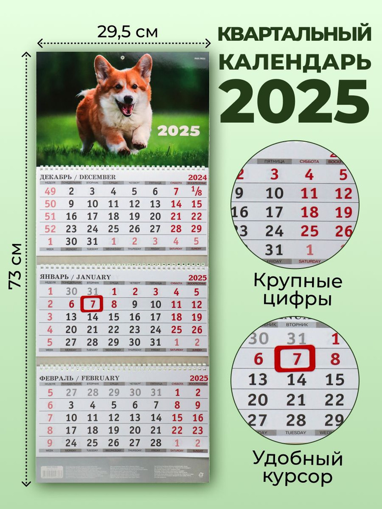 Календарь 2025 настенный Корги #1