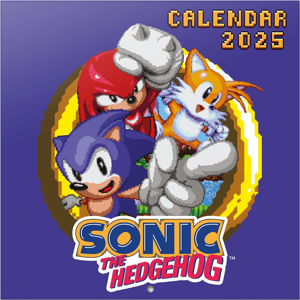 Sonic The Hedgehog. Соник. Календарь настенный на 2025 год (300х300