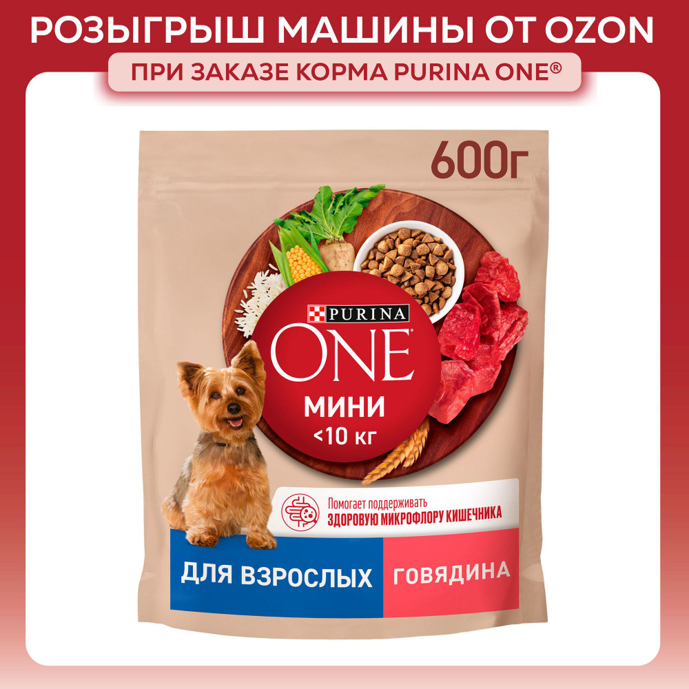 Сухой корм для собак Purina ONE МИНИ для мелких и карликовых пород при активном образе жизни, с говядиной #1