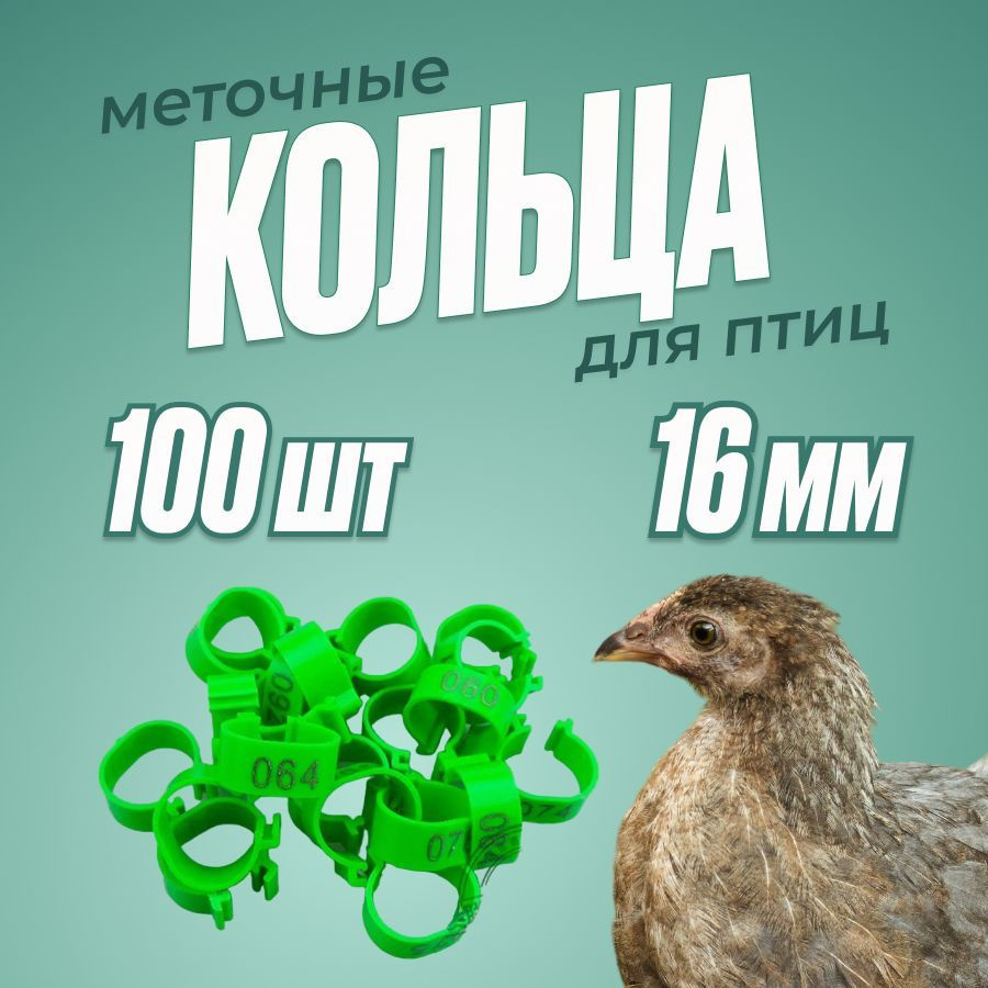 Кольца 16мм зеленые для молодняка кур 100шт КОМПЛЕКТ #1