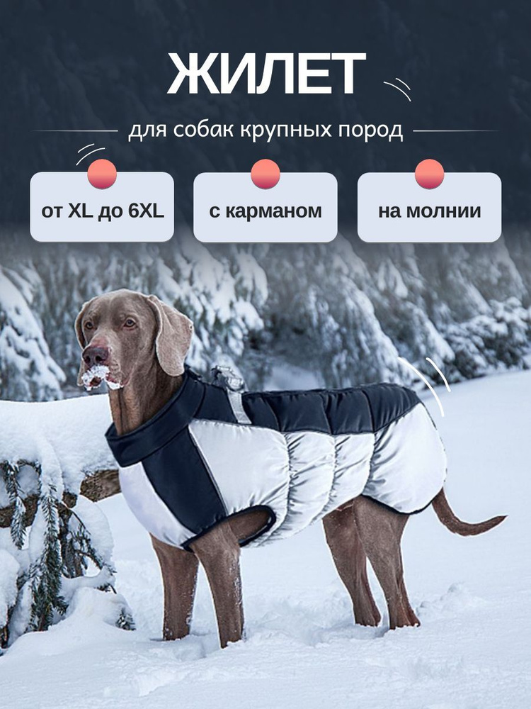 Жилет для собак крупных пород Arnydog "Генри", размер 4XL (58 см)  #1