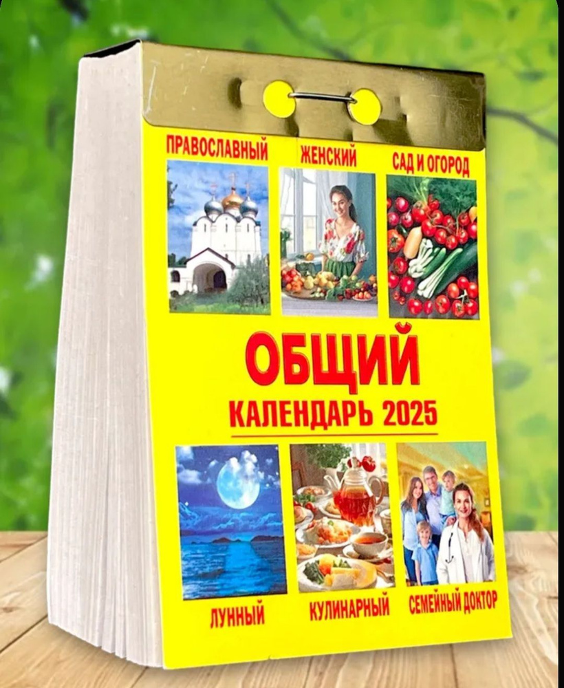  Календарь 2025 г., Отрывной #1