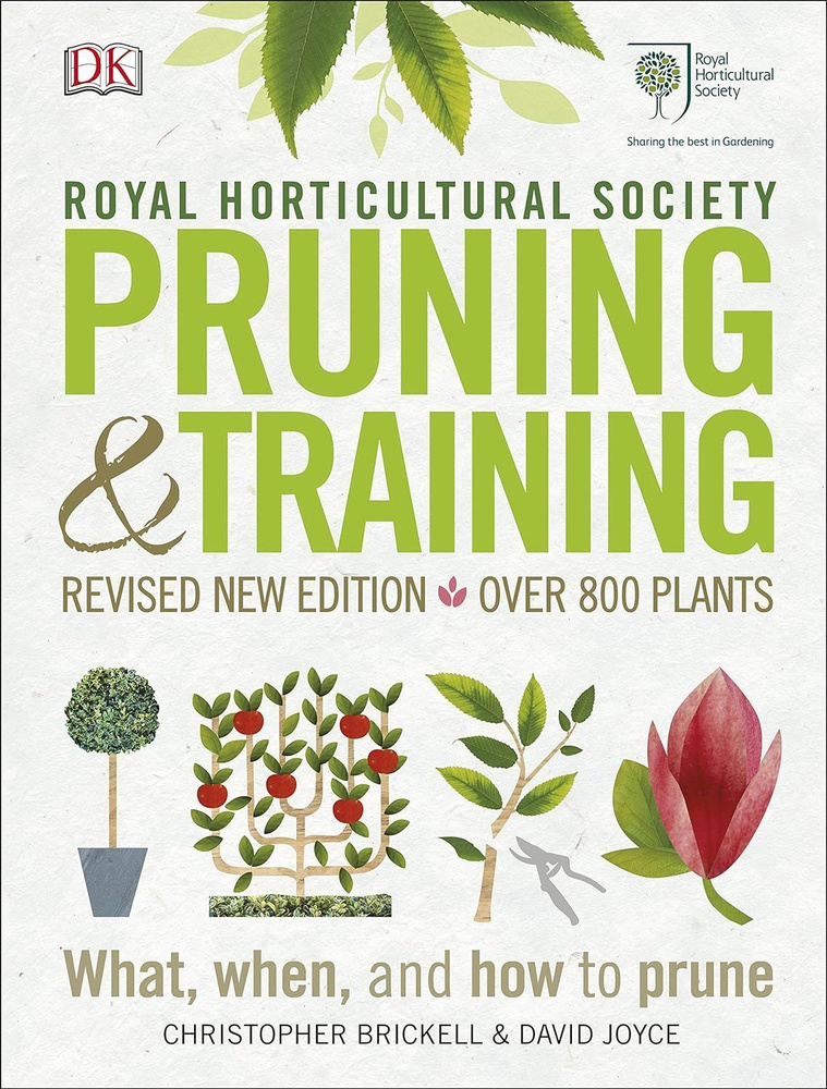 RHS Pruning & Training #1