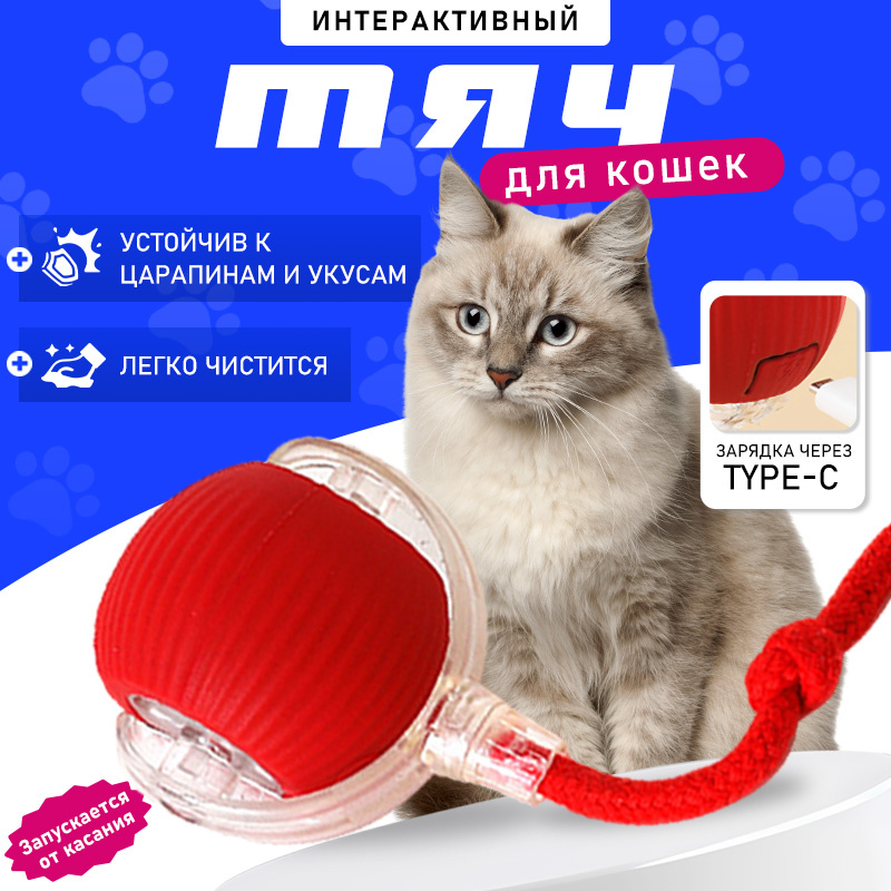 Игрушка для животных купить на OZON по низкой цене (1898042651)