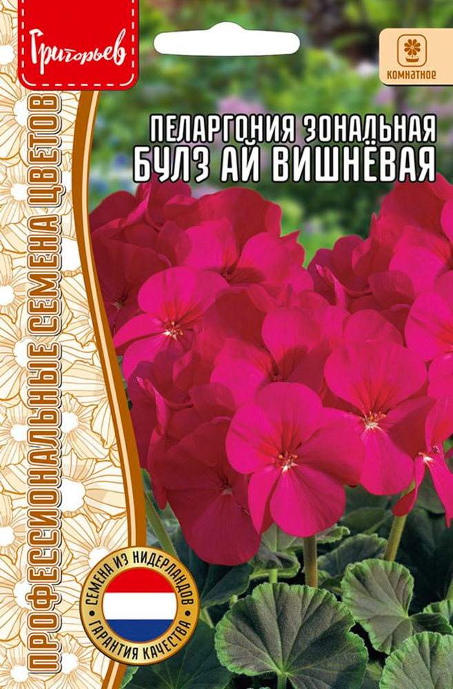 Семена Пеларгония Булз Ай Вишнёвая 3 шт. #1