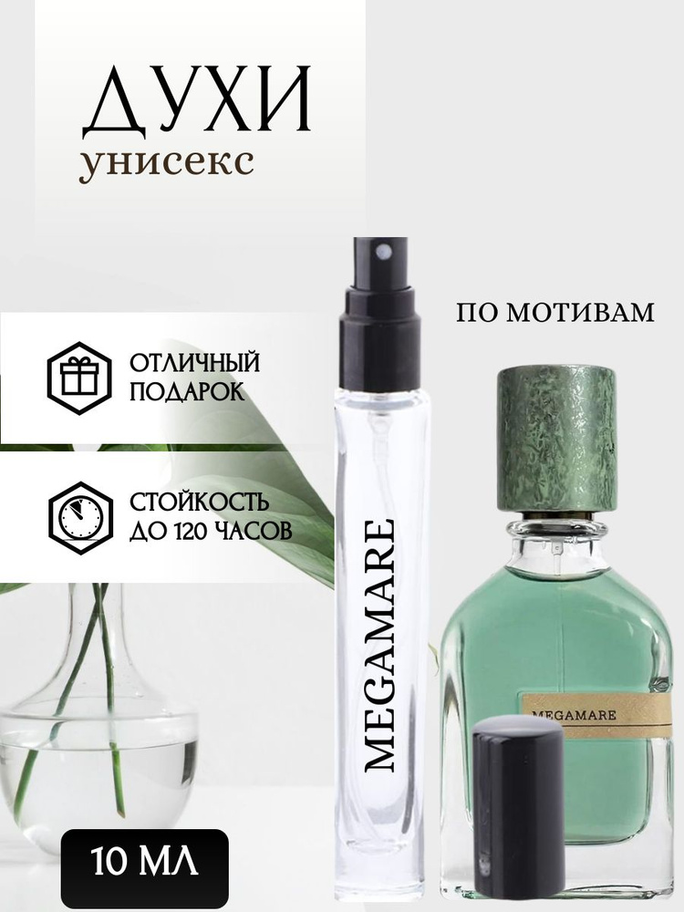 Духи-масло мужские стойкие духи 10 мл #1
