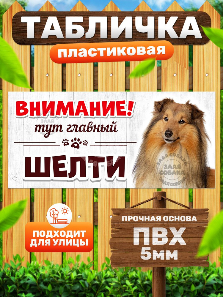Табличка, Злая собака, Тут главная Шелти, 30см х 14 см, на забор, на дверь #1
