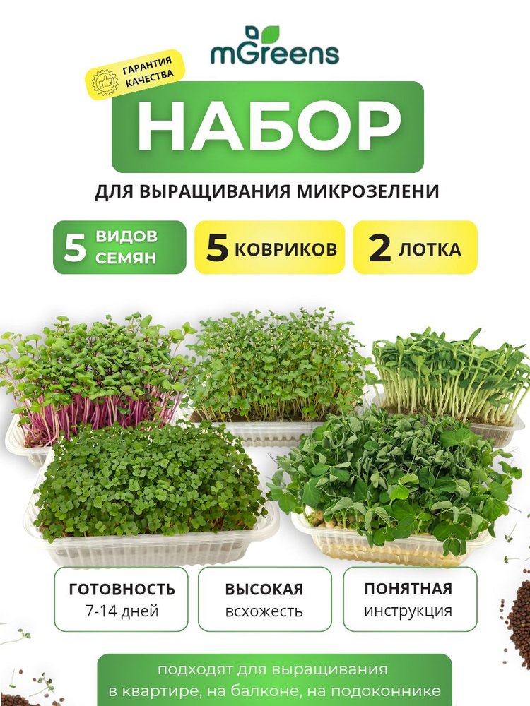 Набор для выращивания микрозелени #1