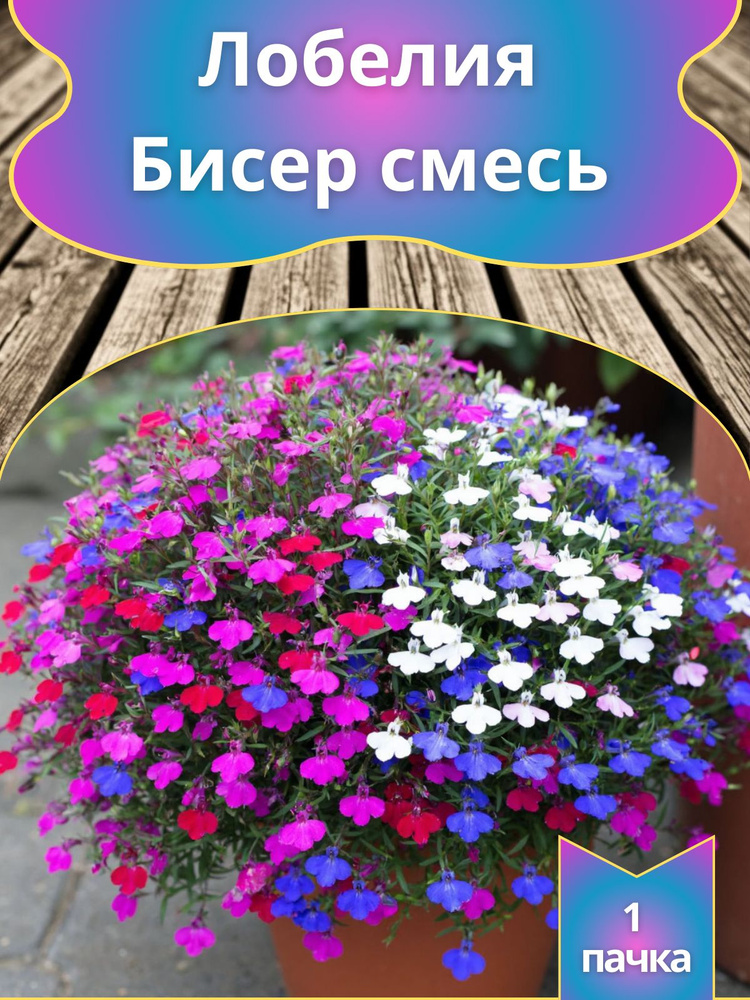 Лобелия "Бисер" ампельная смесь (семена) #1