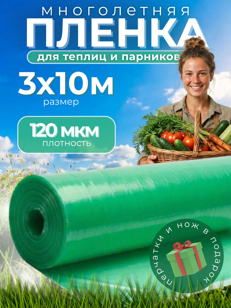 ВЕСТА-ШОП Пленка для теплиц Полиэтилен, 3x10 м,  120 г-кв.м, 120 мкм, 1 шт #1