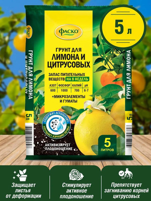 bio-saatgut versandkostenfrei BIO-Saatgut-Set Teekräuter online Deko für Zuhause kaufen main image 1