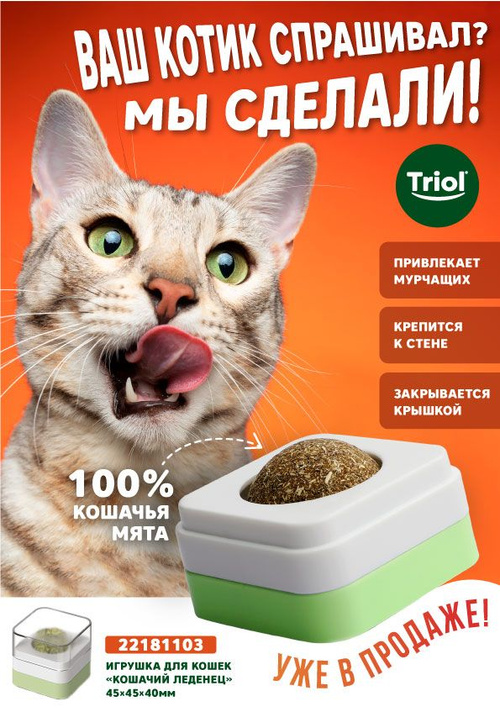 Какие игрушки для 🐈 кошек можно сделать своими руками