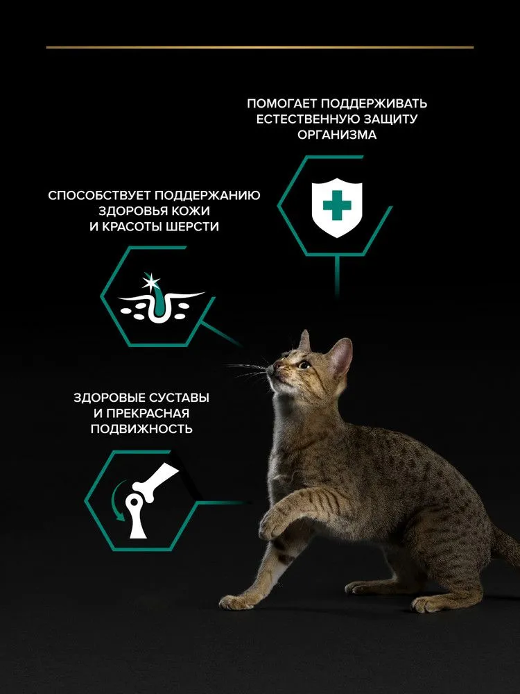 Влажный корм PRO PLAN® MAINTENANCE для взрослых кошек, с говядиной в соусе, 85 г x 26 шт., 85 г, 26 шт, фото 2
