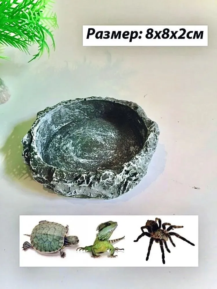 Кормушка поилка для ящериц, пауков, игуан, хамелеонов, рептилий и черепах для террариума и аквариума, вариант, фото 2