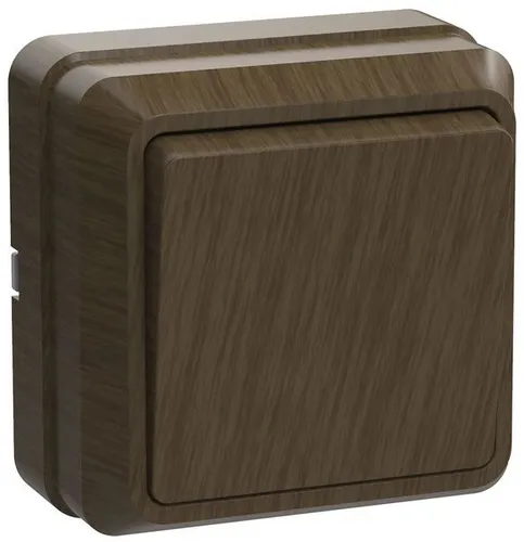 Выключатель ВС20-1-0-ОД 10А открытая установка ОКТАВА