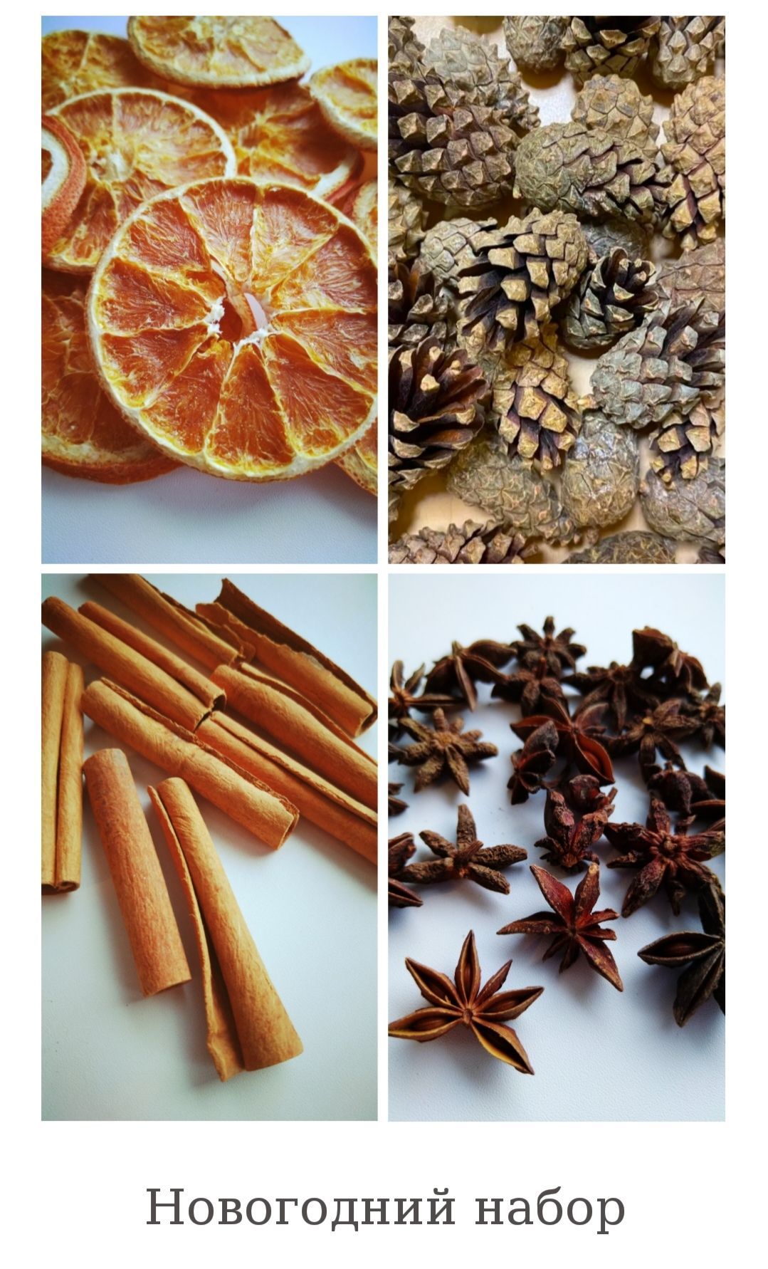 Сухоцветы,4шт