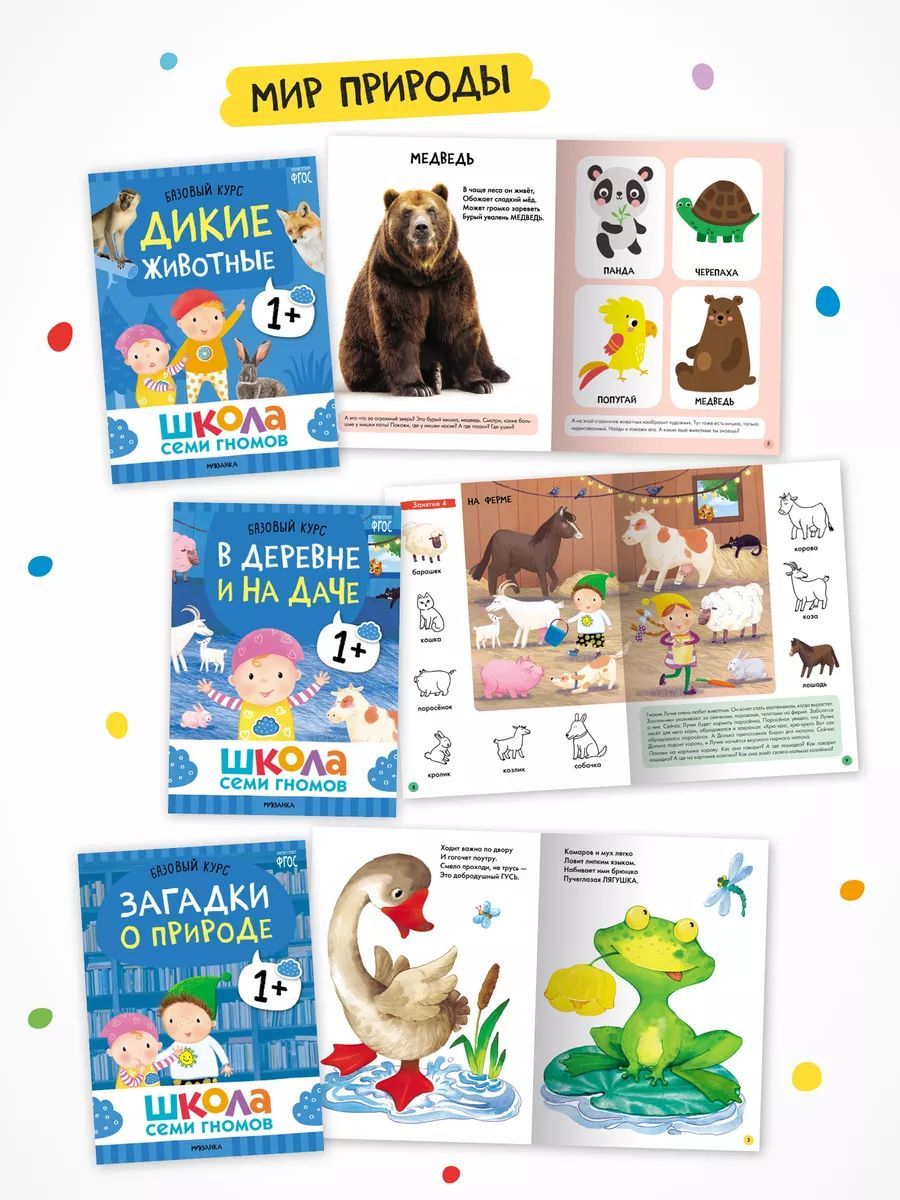 Школа Семи Гномов. Базовый курс. Окружающий мир. 1+ (комплект из 6 кн. + развивающие игры) | School of Seven Gnomes. Basic Course. The Surrounding World. 1+ (Set of 6 Books + Developmental Games) - Ozon image 4