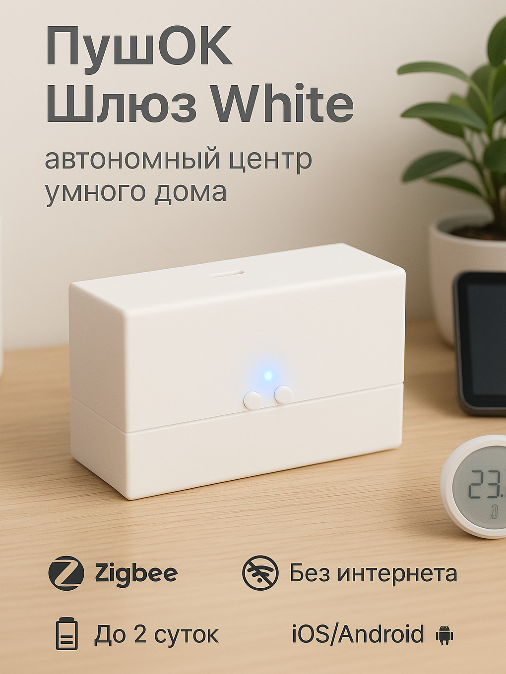 ZigBee-шлюз ПушОк