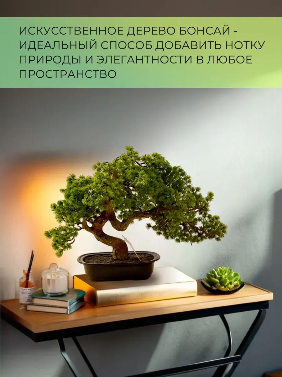 бонсай 44CM TH106164 Китай