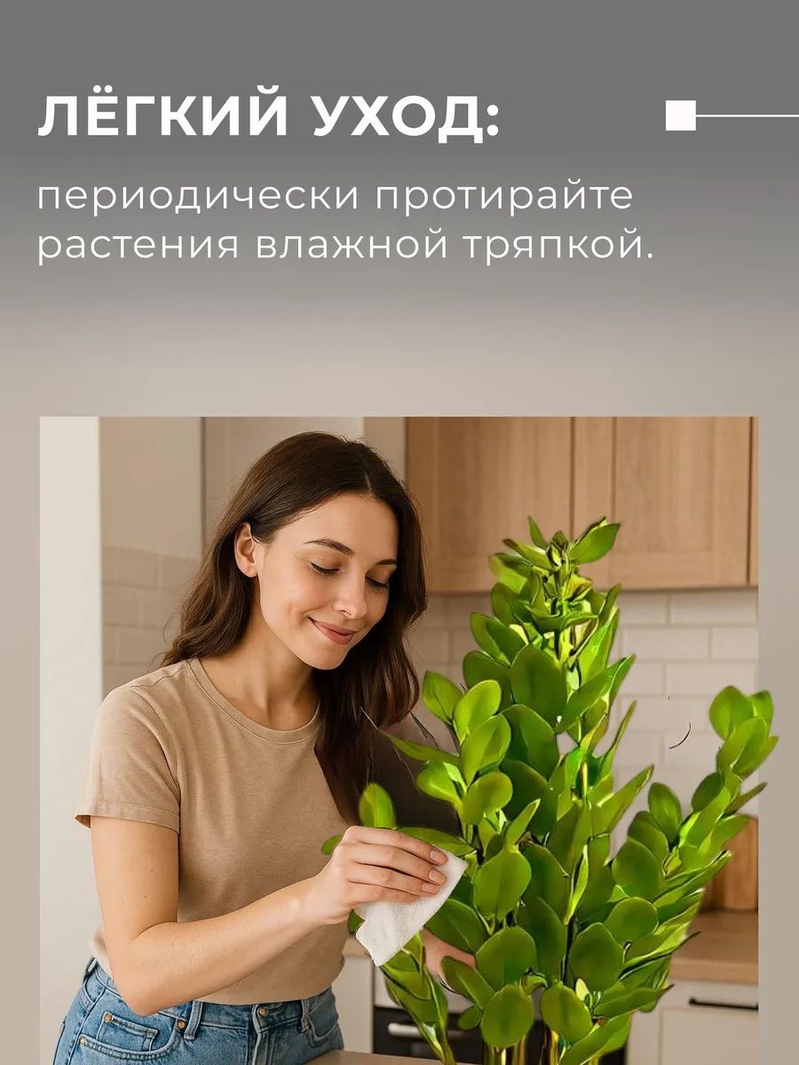 Замиакулькас 90cm Зелёный DS2021-090 Китай